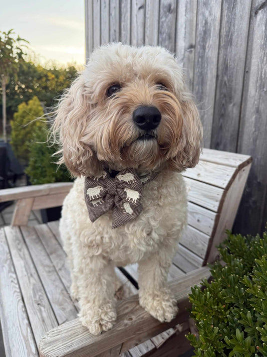 The Sheep Tweed Sailor Bow