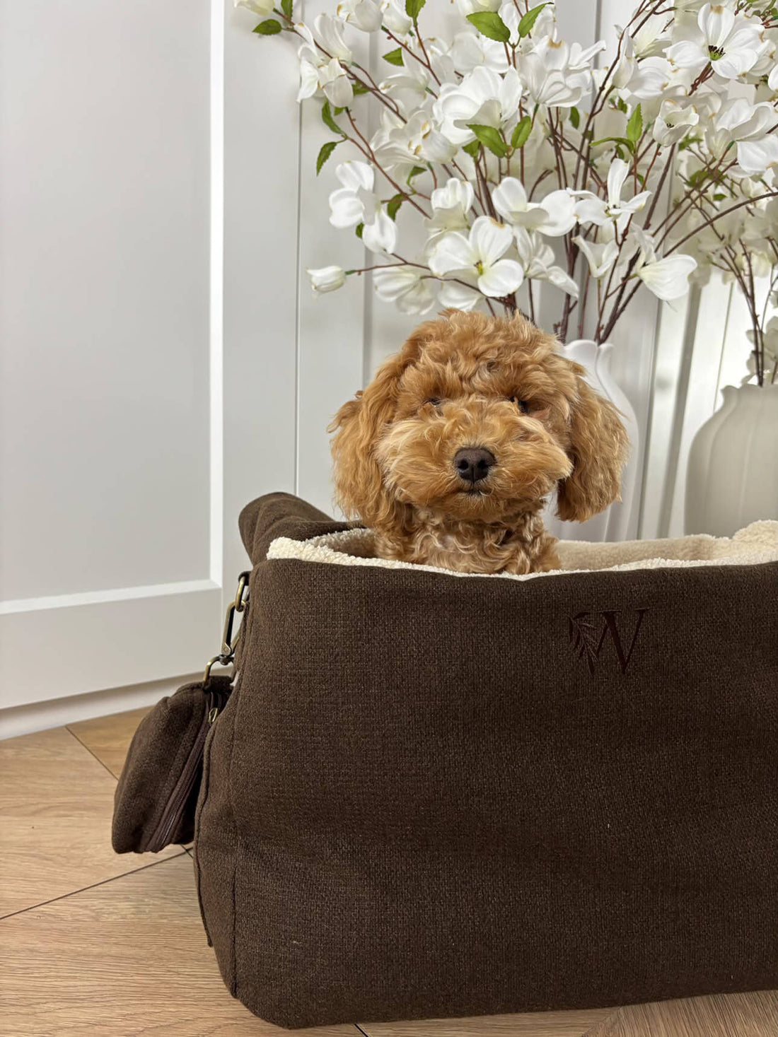Meet The Tweed Crossbody Dog Carrier