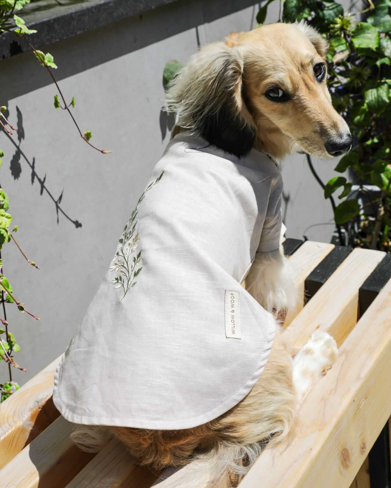 A long-haired brown dog sitting on a bench, wearing a linen dog shirt with a small embroidered floral design on the back.