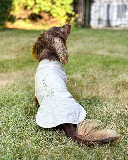 A long-haired brown dog sitting on a grassy lawn, wearing a linen dog shirt with a small embroidered floral design on the back.