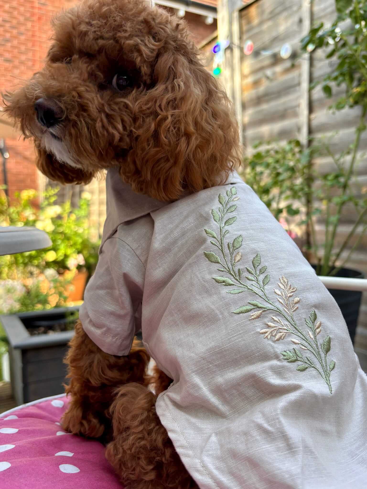 The Linen Shirt