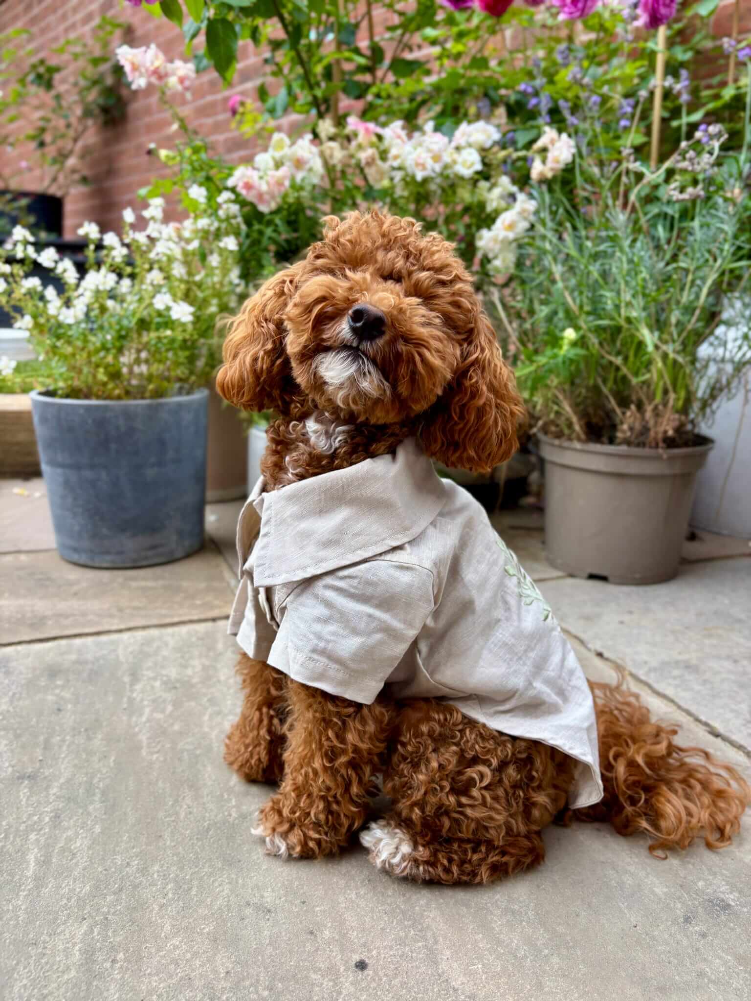 The Linen Shirt