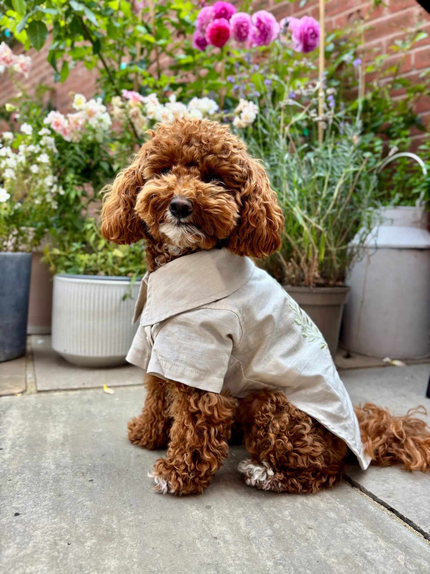The Linen Shirt