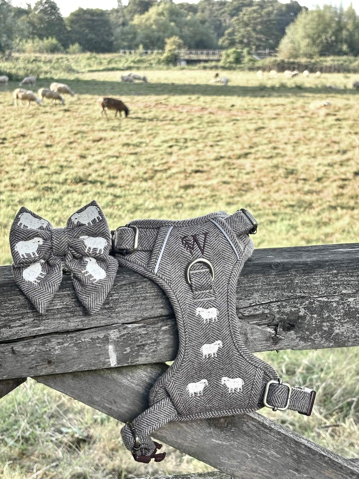 The Sheep Tweed Harness
