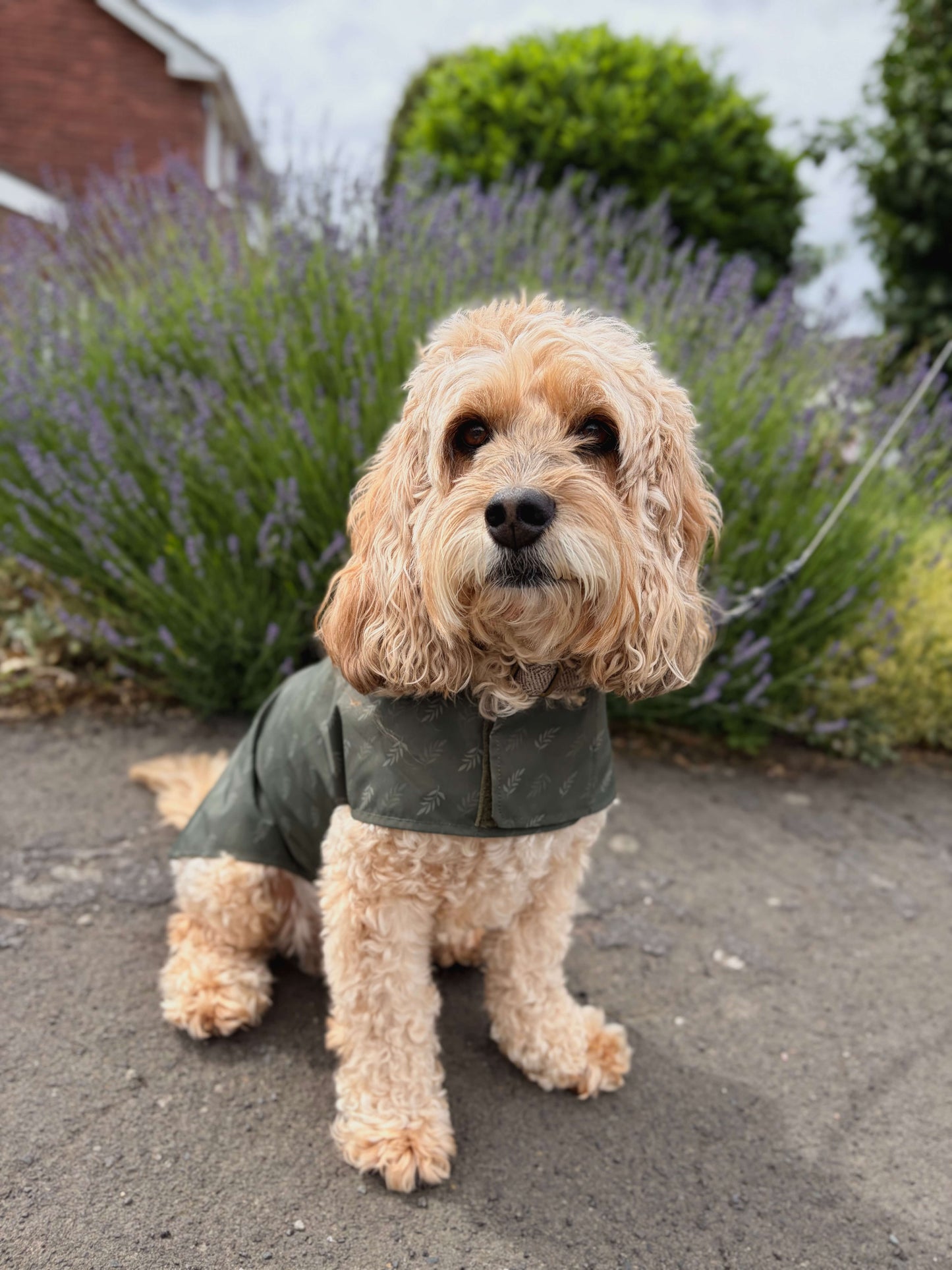 The Lightweight Raincoat