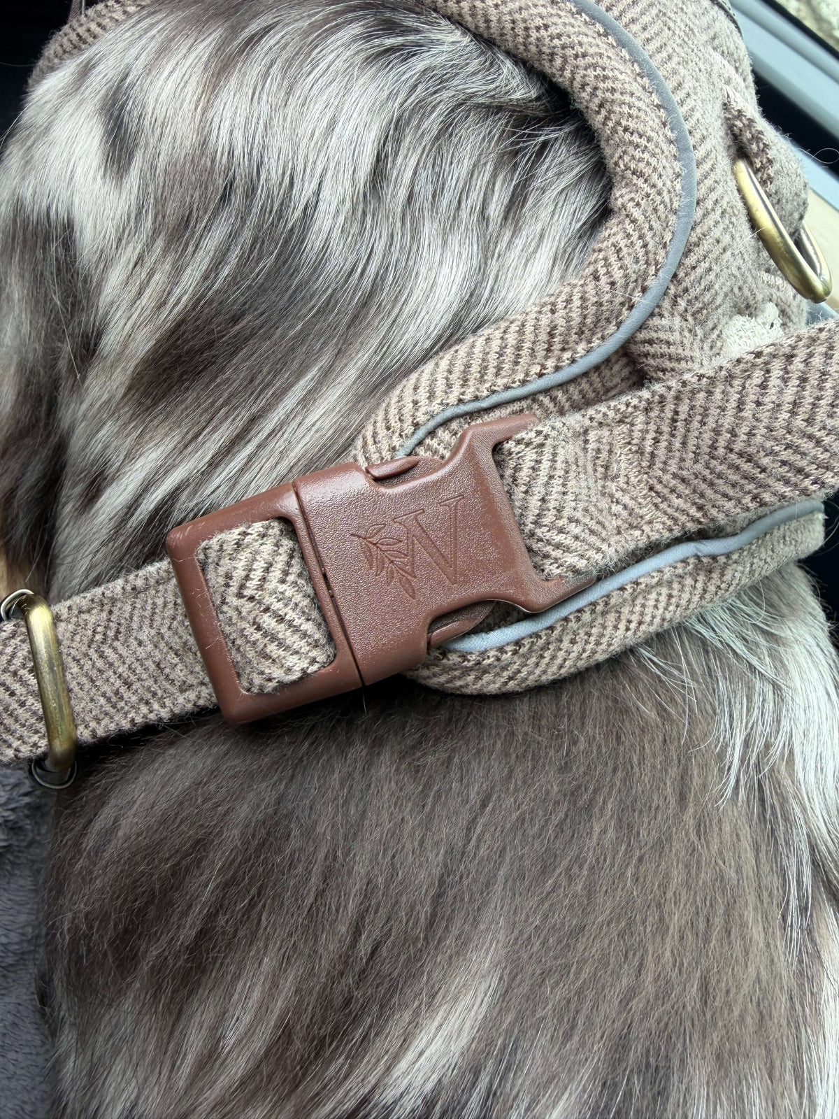 The Sheep Tweed Harness