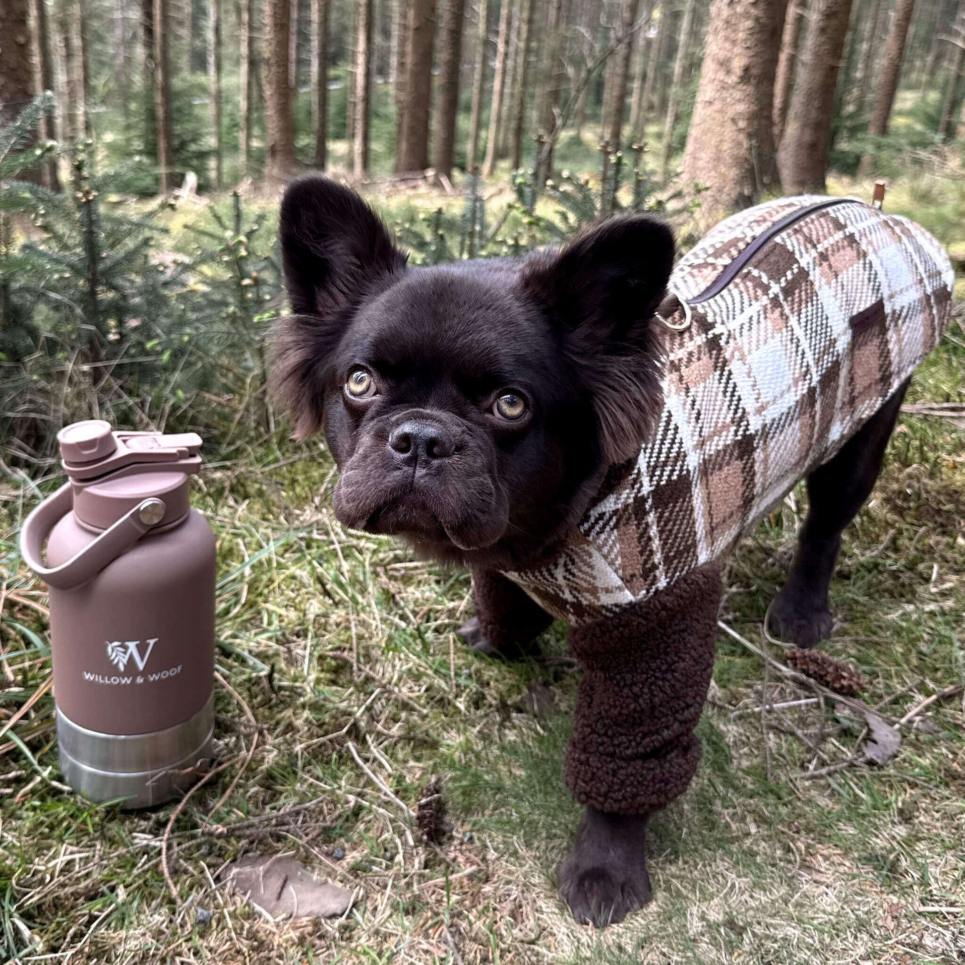 The Companion Bottle | 3-in-1 Dog Travel Bottle