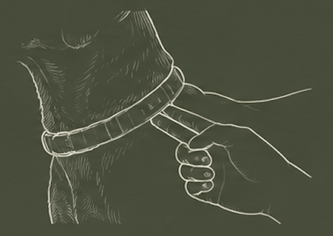 Willow & Woof. How to measure your dog, Allow two fingers beneath each strap.